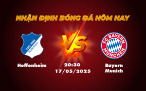 hoffenheim bayern munich 17 05 bundesliga